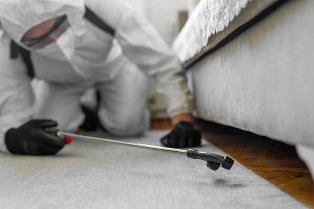 Professional Cockroach Control technician working in Lowell, MI