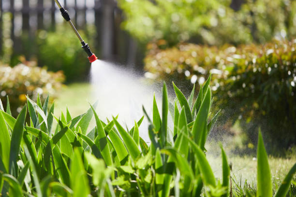 24/7 Emergency Cockroach Control experts in Lowell, MI