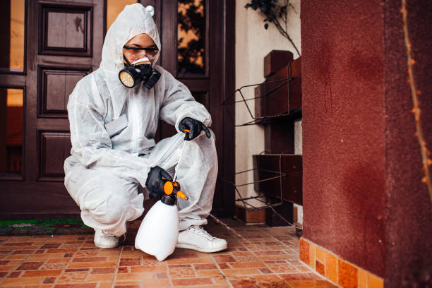 Reliable Cockroach Control contractor in Lowell, MI by Nex Pest Control
