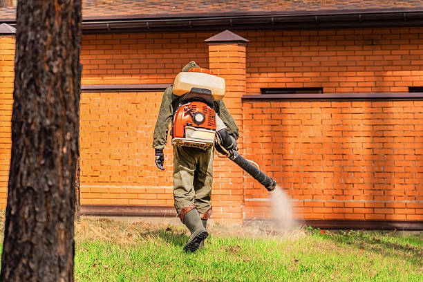 Top rated local Cockroach Control specialists in Lowell, MI